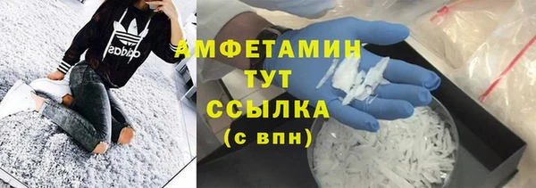 сатива Пересвет