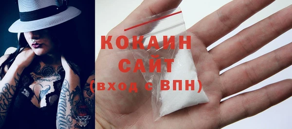сатива Пересвет