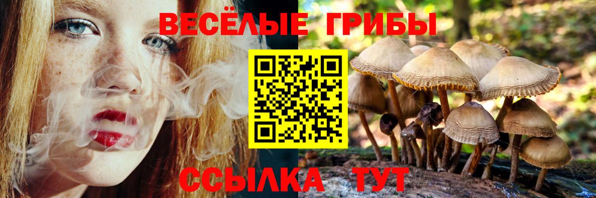 где купить наркоту  Псилоцибиновые грибы мицелий  Вход с VPN  Костомукша 